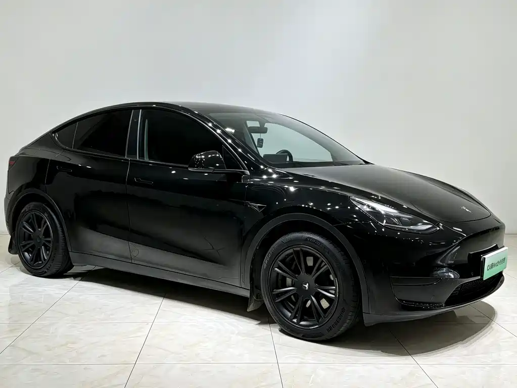 Tesla Model Y — миниатюра 3