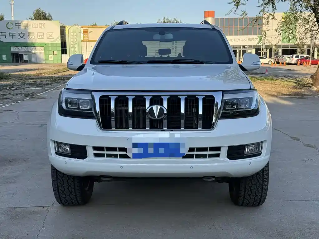 Hengtian L4600 4.6L V8 Pilot Version, фото 2