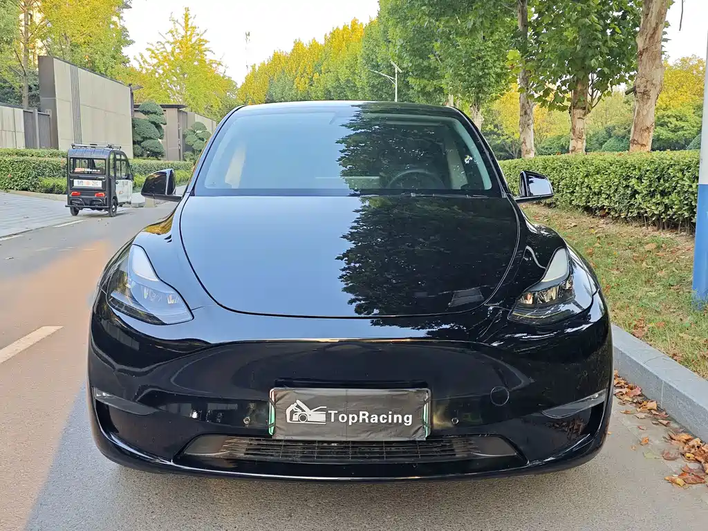 Tesla Model Y — миниатюра 2