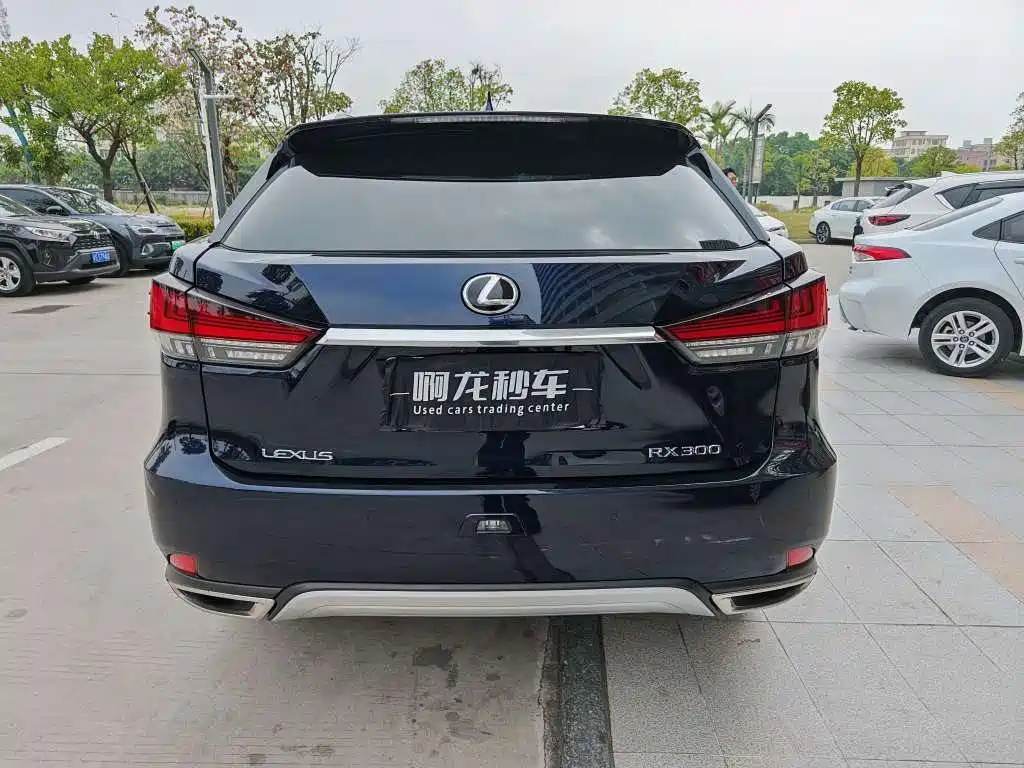 LEXUS RX