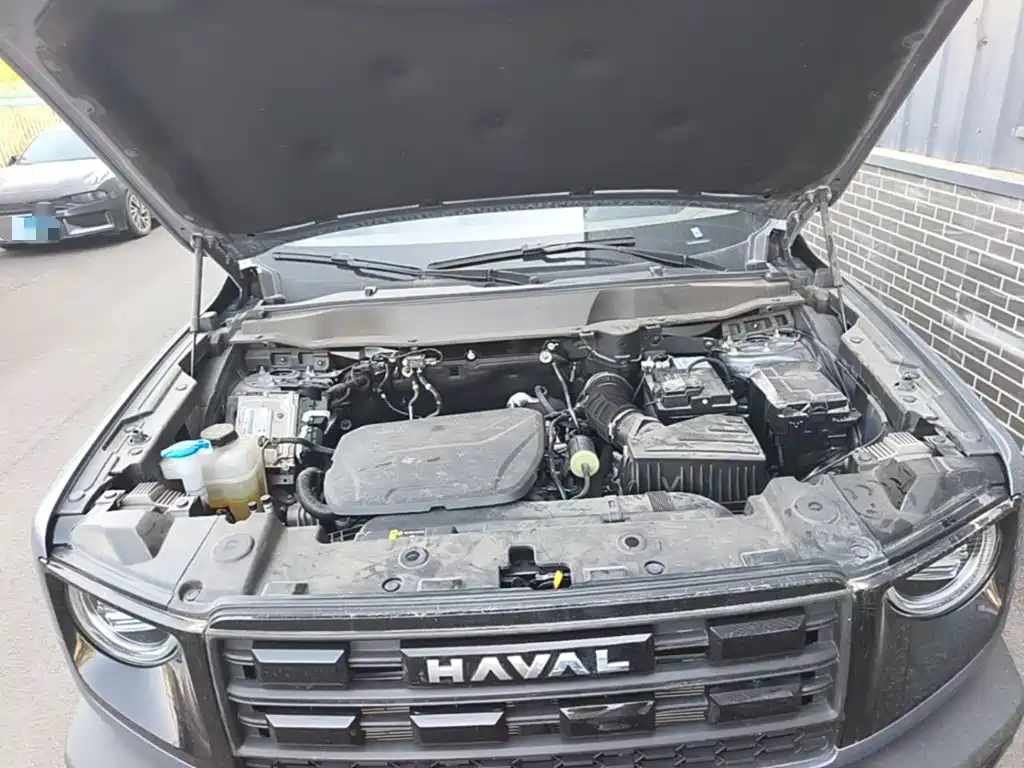 Haval Big Dog — миниатюра 20