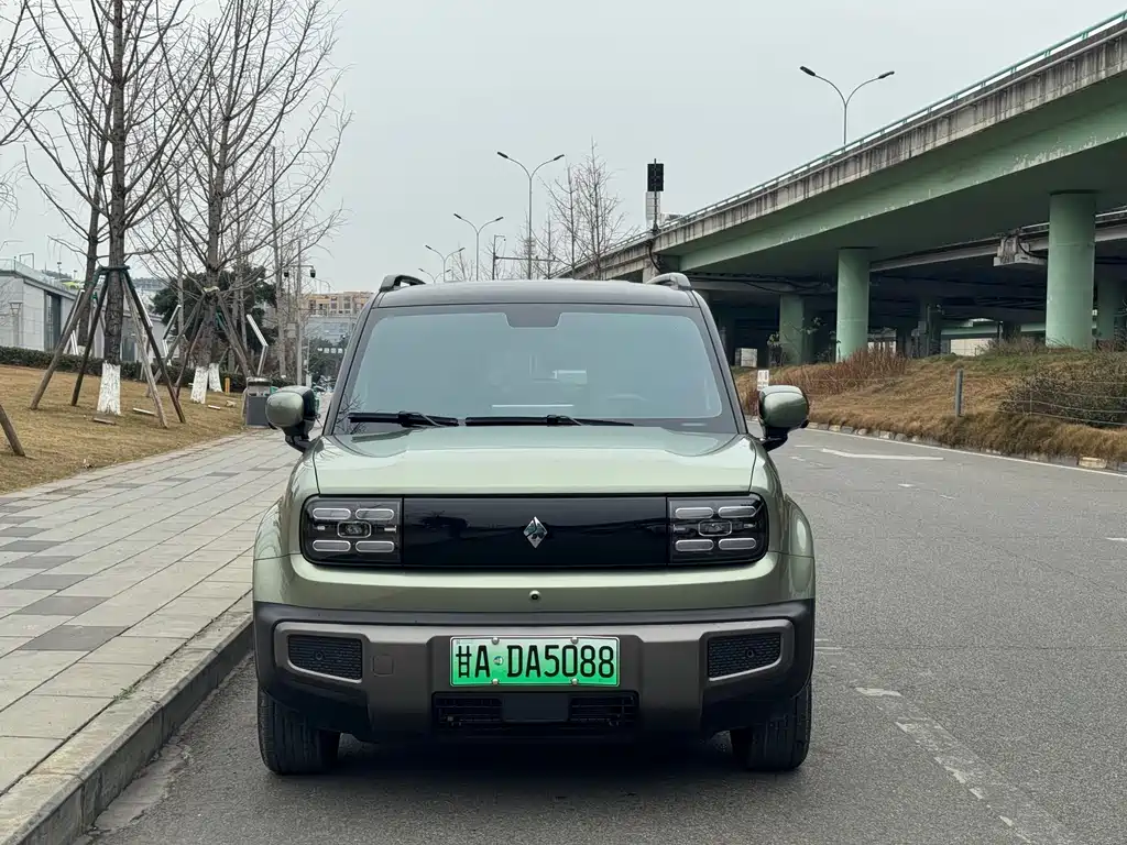 BAOJUN YUE ALSO PLUS