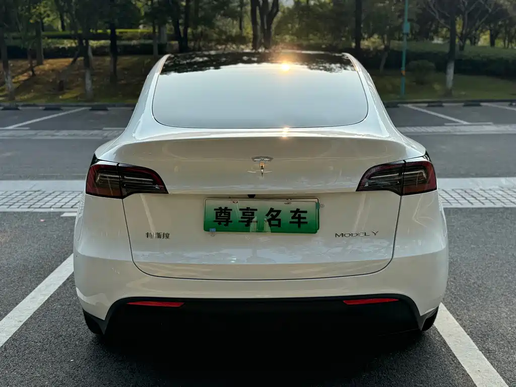 Tesla Model Y — миниатюра 7
