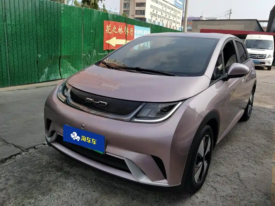 BYD Dolphin