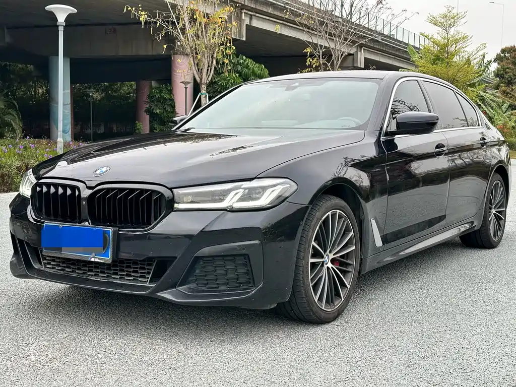 BMW 5 Series 2021