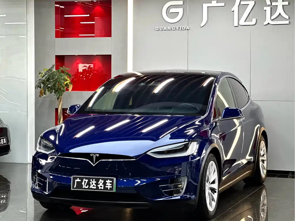 Tesla Model X 2019