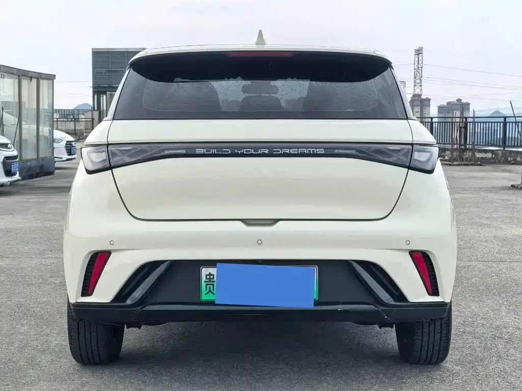 BYD Dolphin 2021 405km Fashion