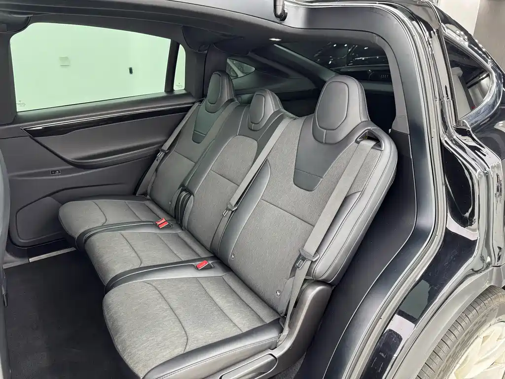 Tesla Model X — миниатюра 29