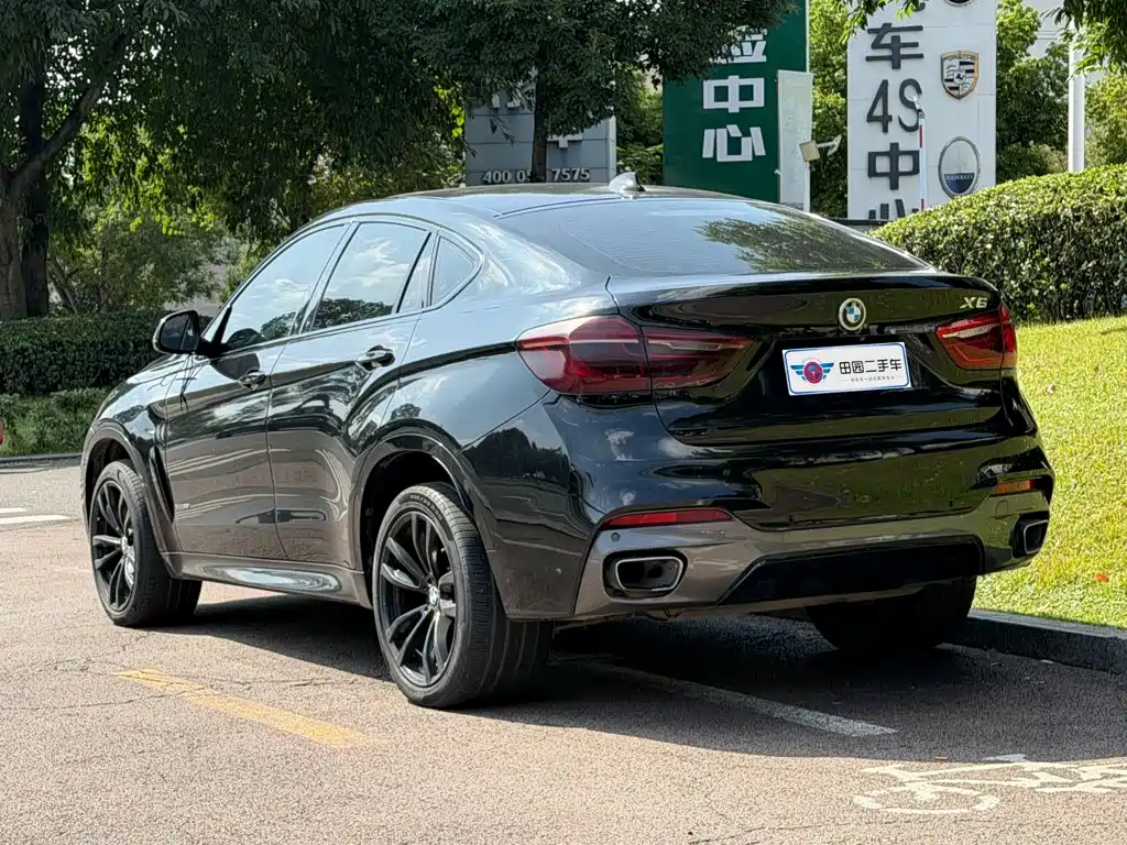 BMW X6 — миниатюра 4