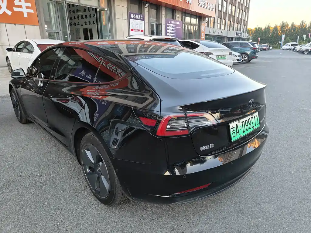 Tesla Model 3 — миниатюра 8