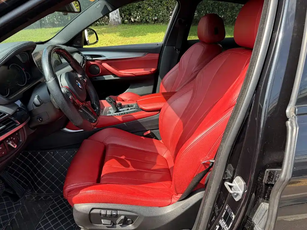 BMW X6 — миниатюра 8