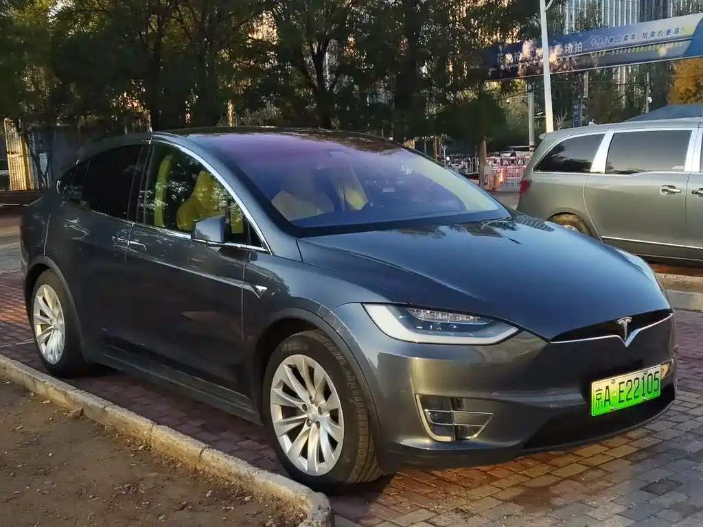 TESLA MODEL X