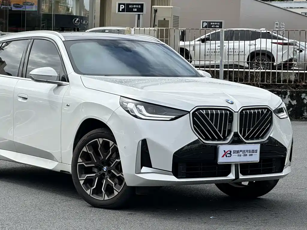 BMW X3 — миниатюра 5