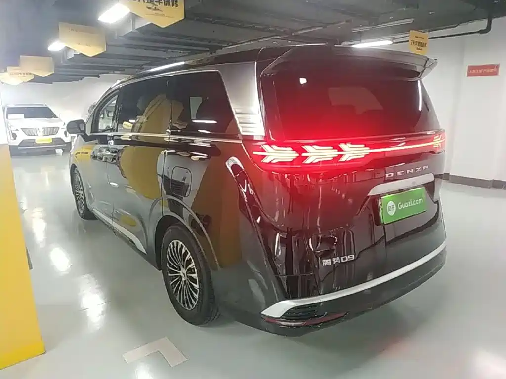 Denza Denza D9 — миниатюра 5