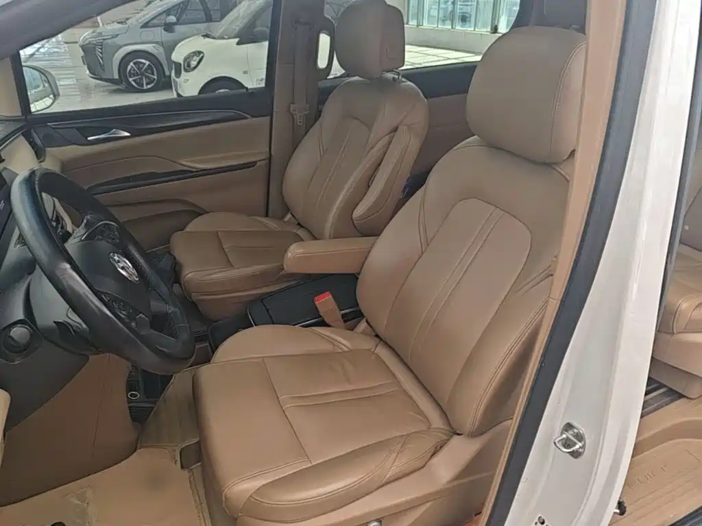 Buick GL8 — миниатюра 15