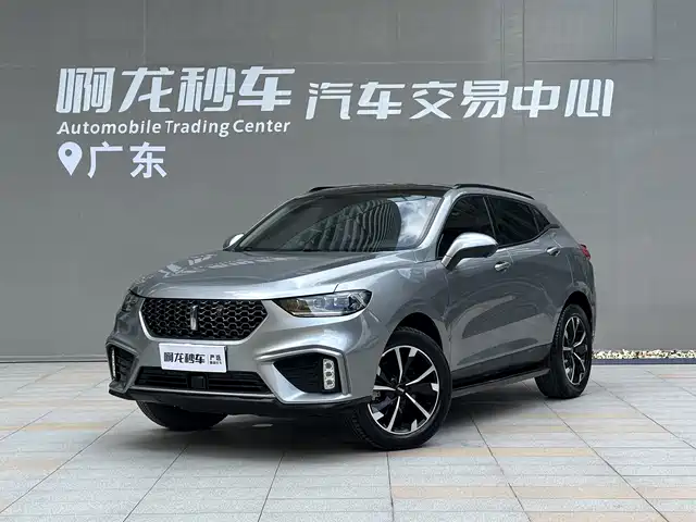 2020 Wey VV5