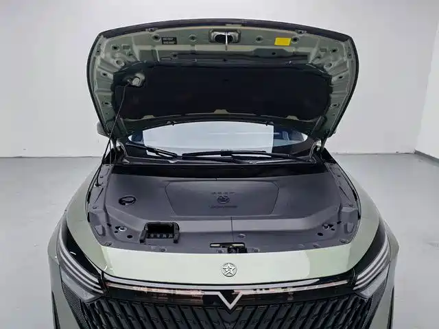Venucia V DD-i — миниатюра 14