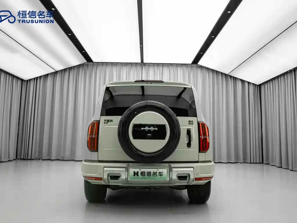 FANG CHENG BAO LEOPARD 5