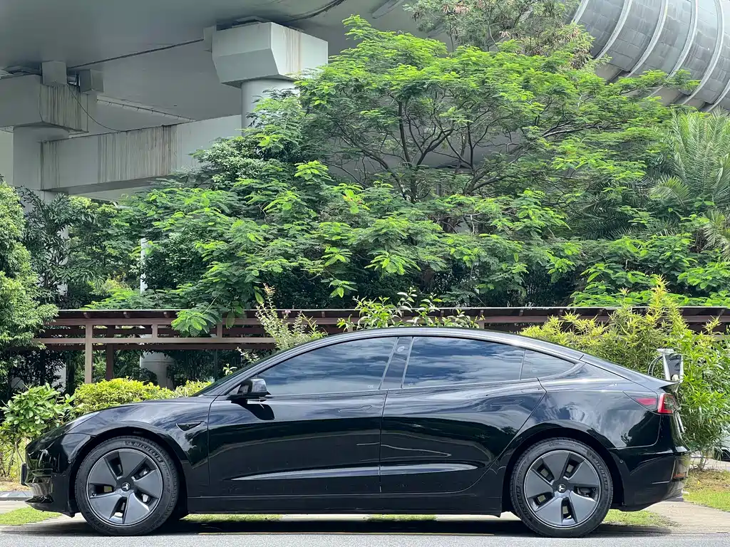 Tesla Model 3 — миниатюра 4