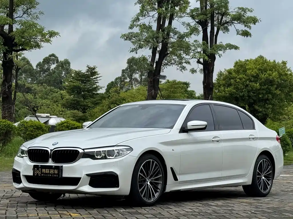 BMW 5 Series 2019