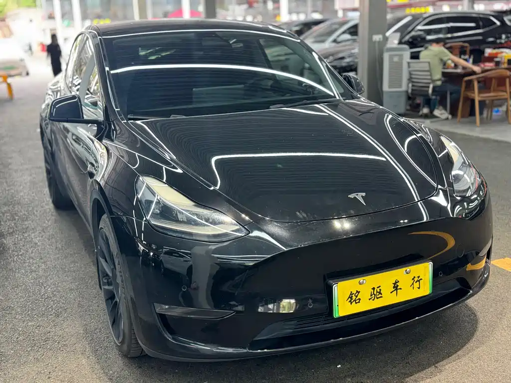 Tesla Model Y — миниатюра 6