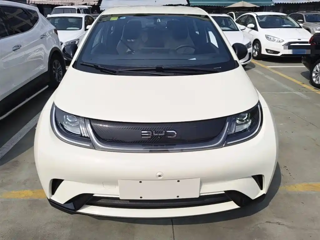 BYD Dolphin 2025 420km Freedom