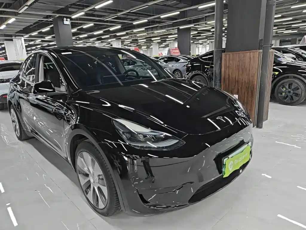 Tesla Model Y — миниатюра 4