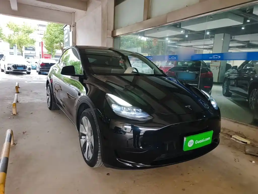 Tesla Model Y — миниатюра 4