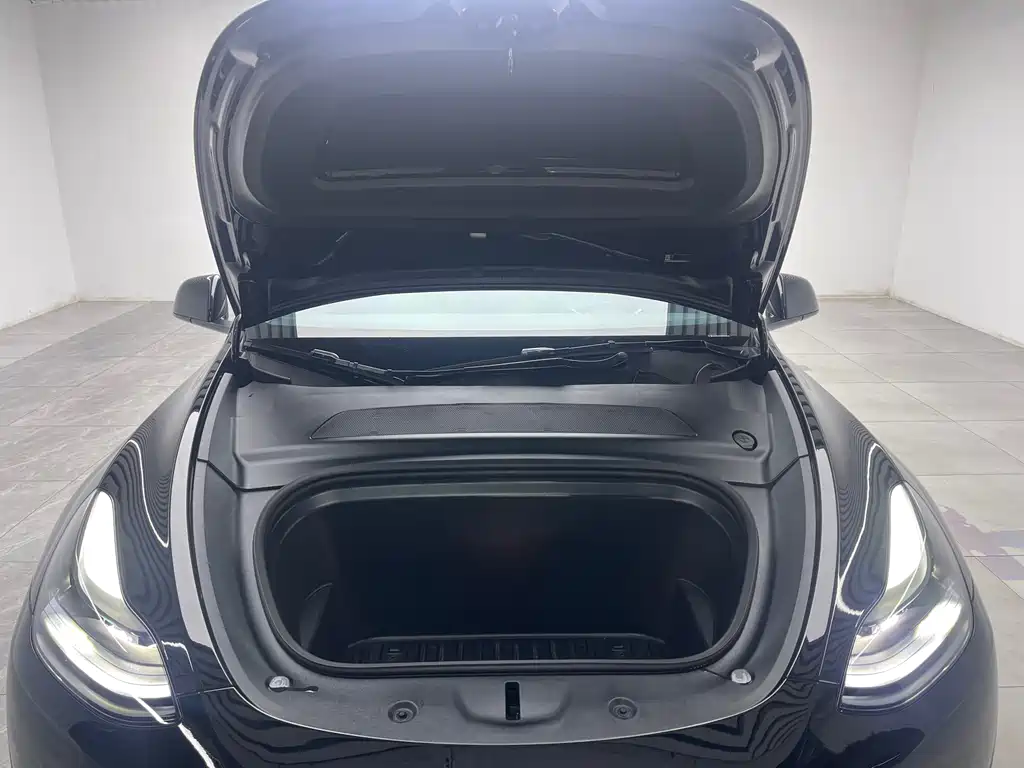 Tesla Model Y — миниатюра 9