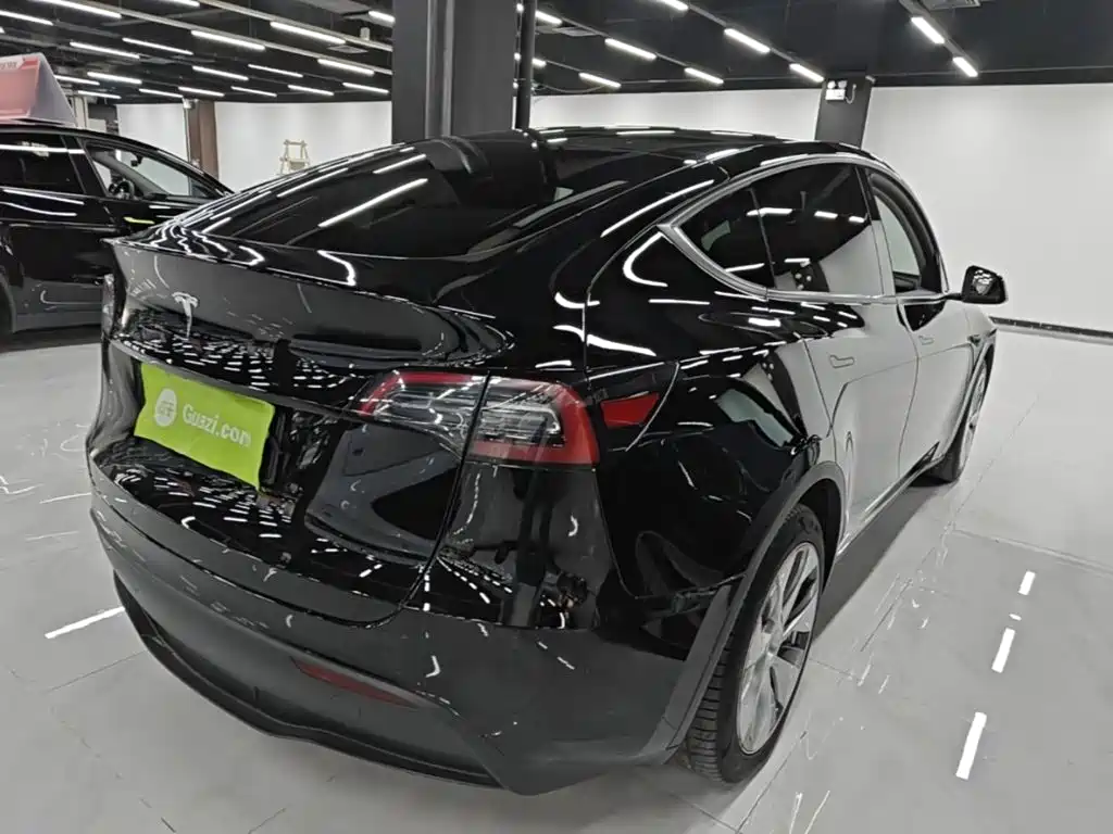 Tesla Model Y — миниатюра 7