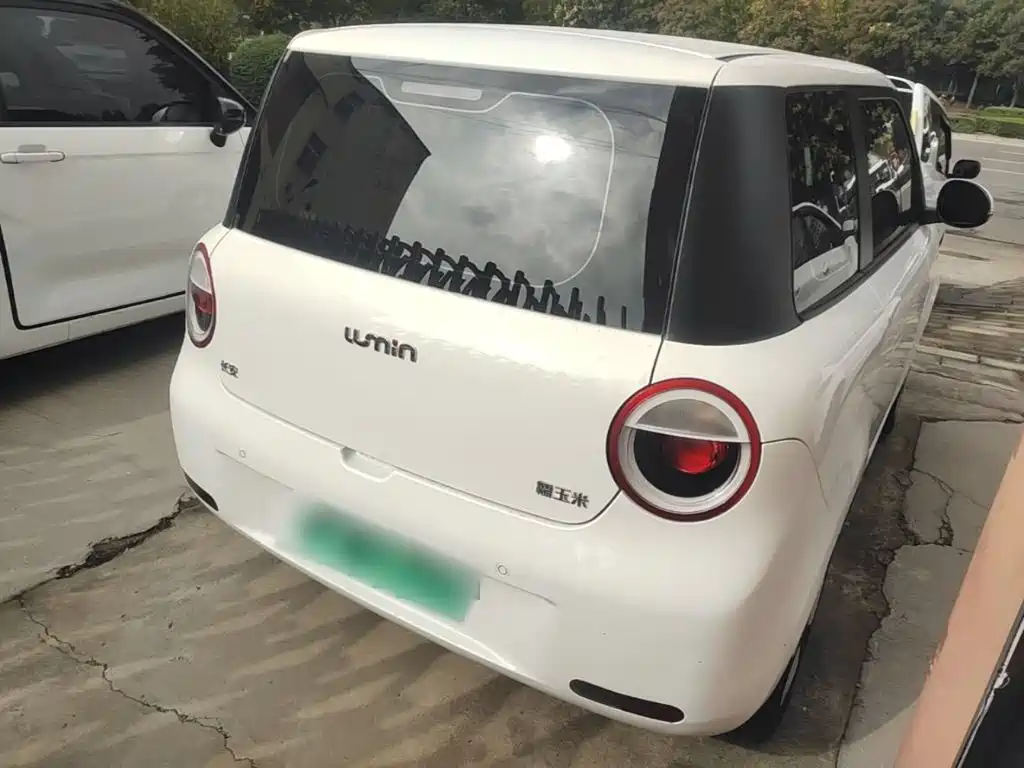Qiyuan Lumin — миниатюра 7