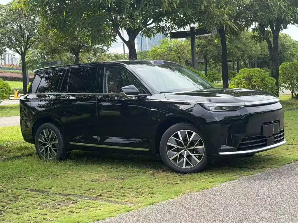 GAC Motor Trumpchi Xiangwang S9 — миниатюра 2