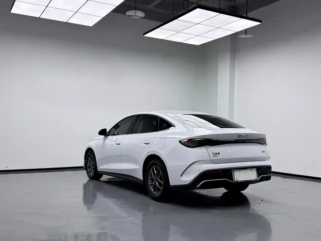 BYD Seal 06 — миниатюра 12