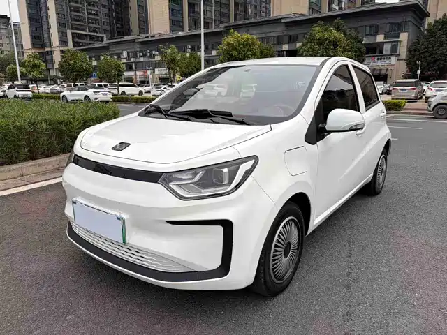 SIHAO FLOWER FAIRY 2021