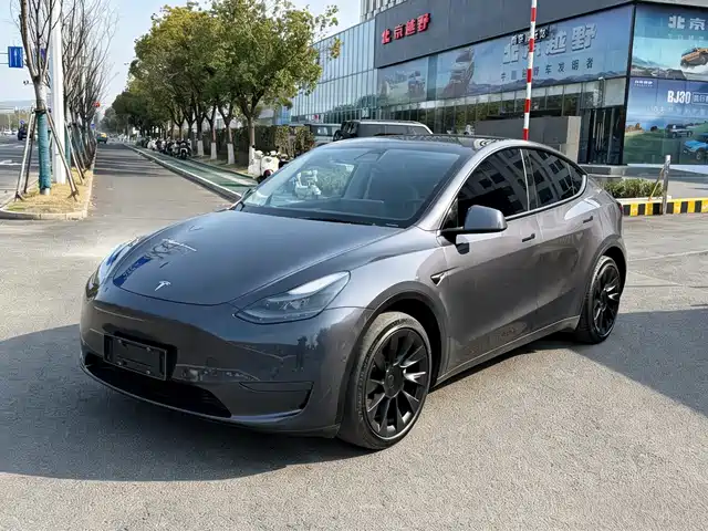TESLA MODEL Y 2021