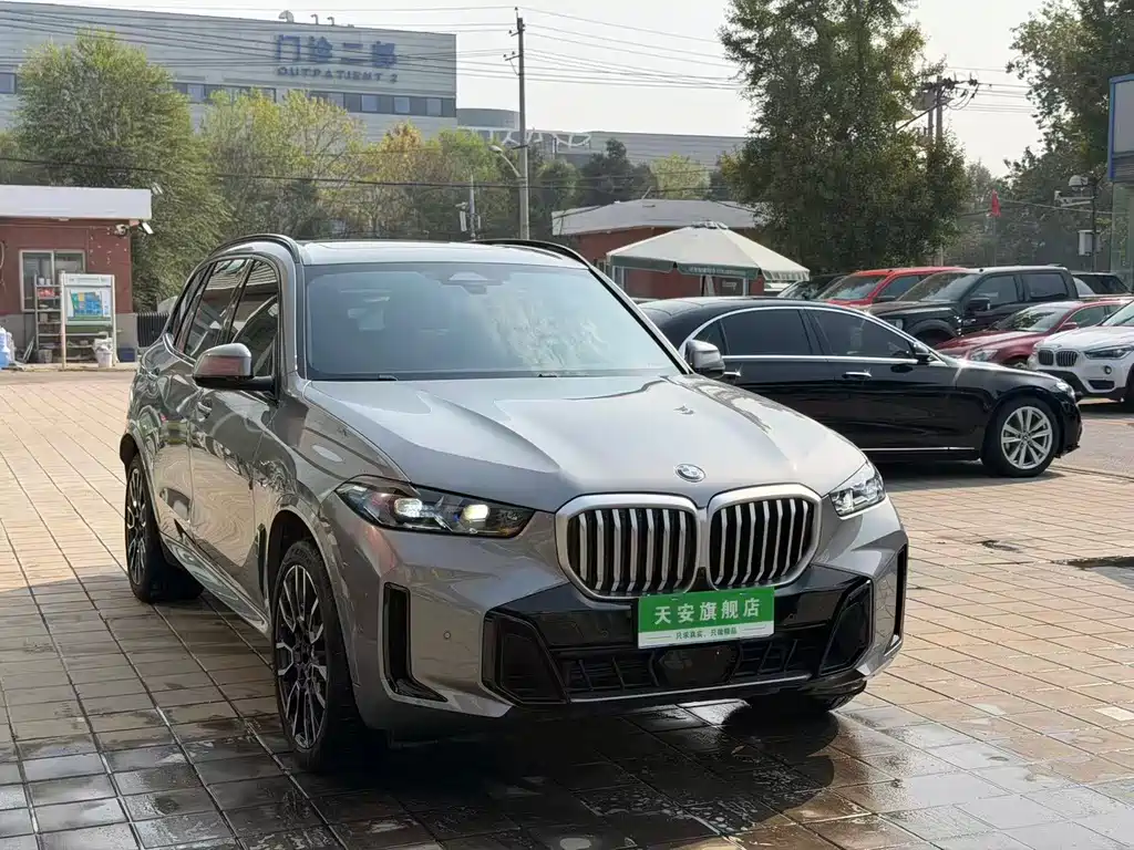 BMW X5 — миниатюра 3