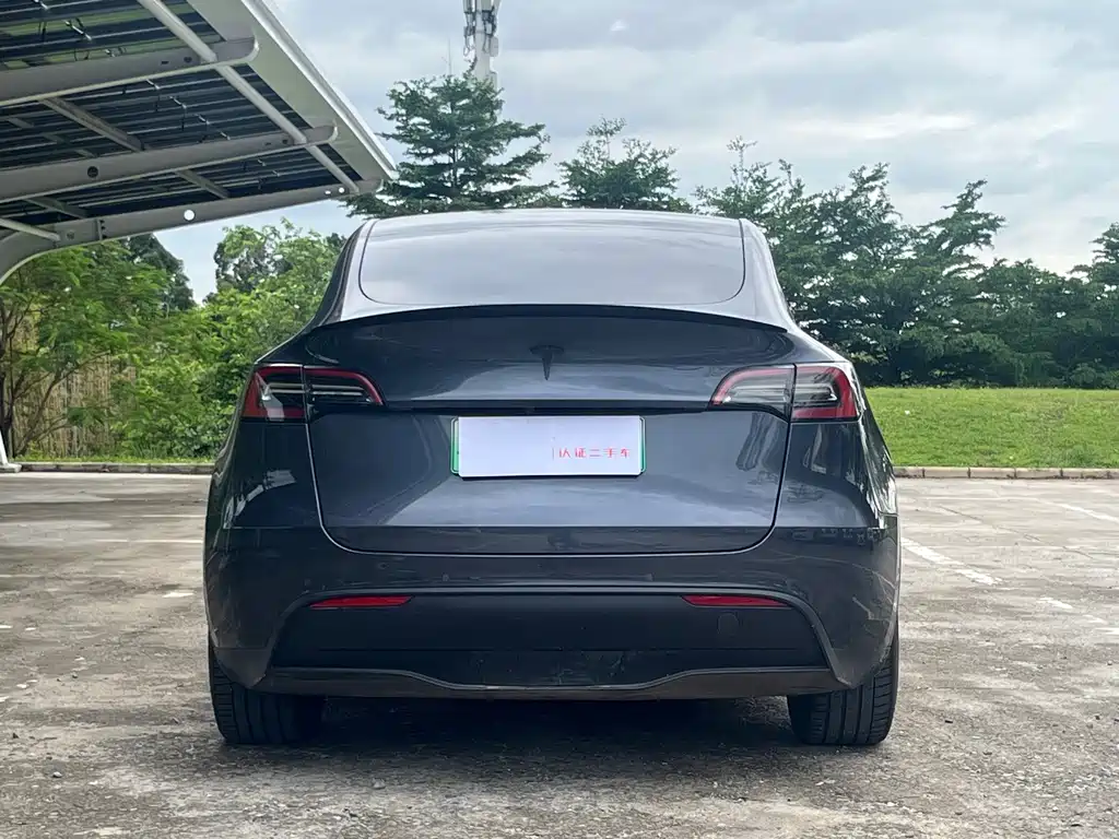 Tesla Model Y — миниатюра 6