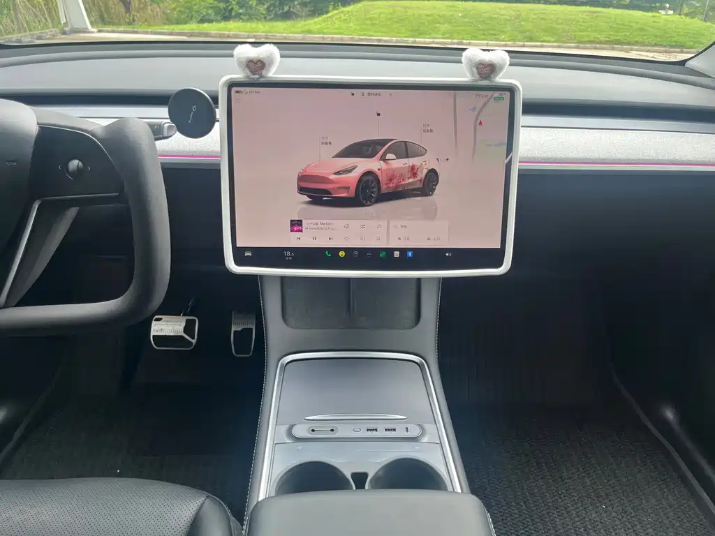 Tesla Model Y — миниатюра 16
