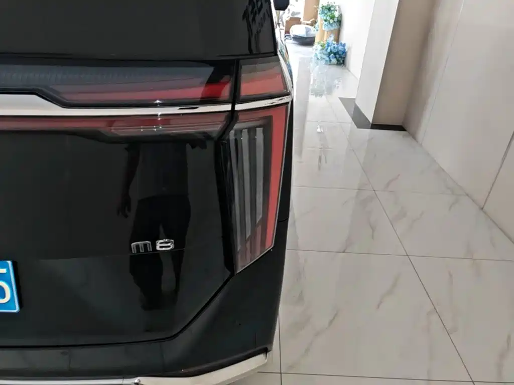GAC Motor Trumpchi M8 — миниатюра 8