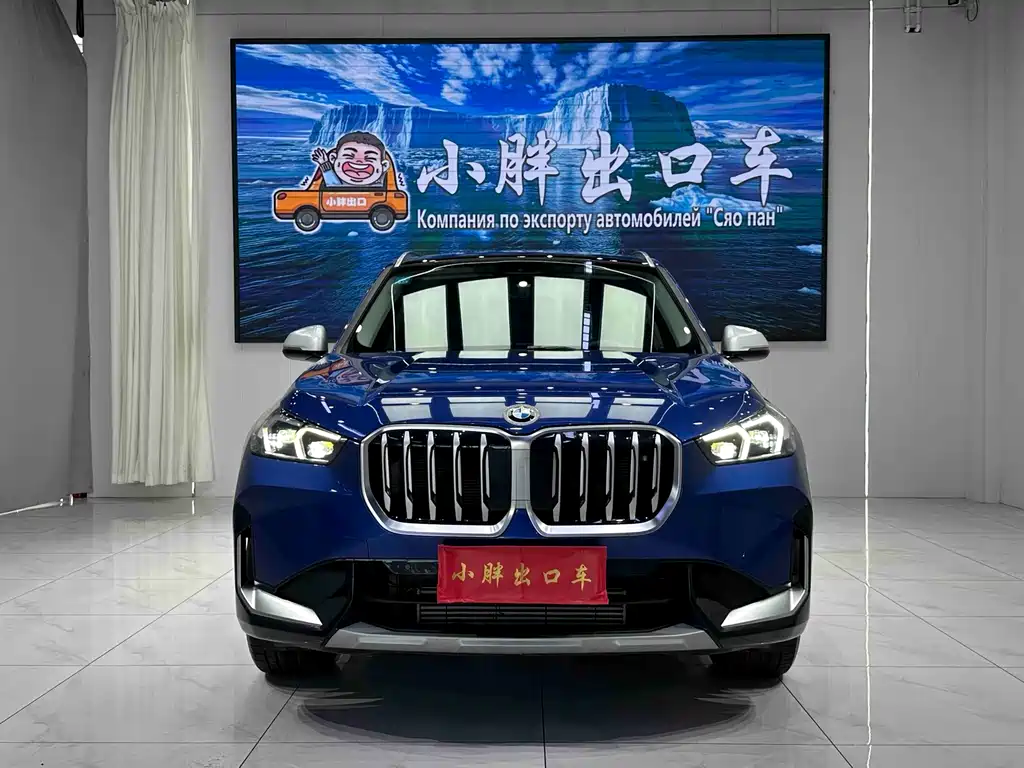 BMW X1 — миниатюра 2