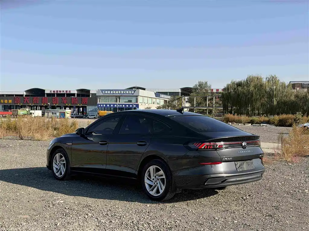 Volkswagen Lamando — миниатюра 6