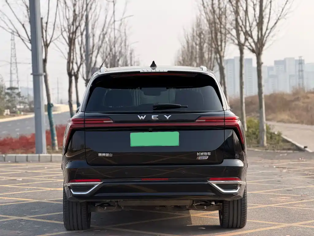 WEI PAI WEI BRAND BLUE MOUNTAIN