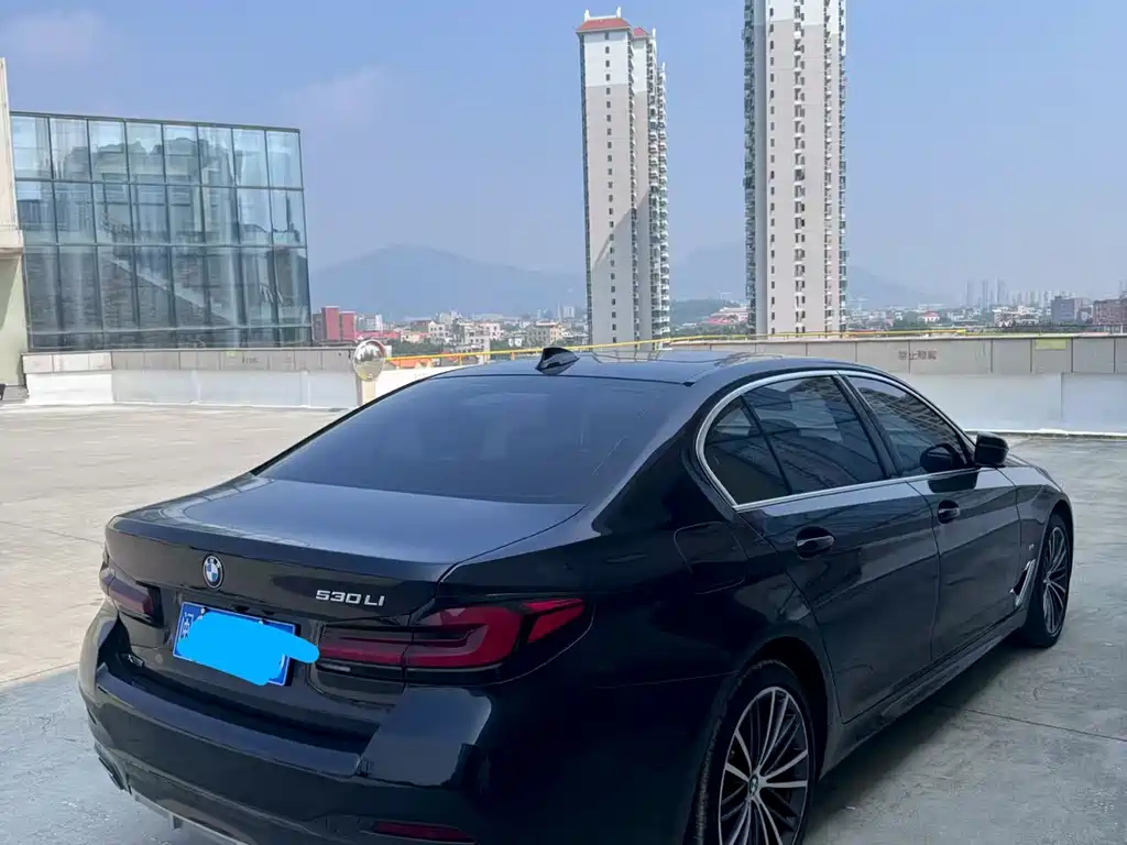 BMW 5 Series — миниатюра 5