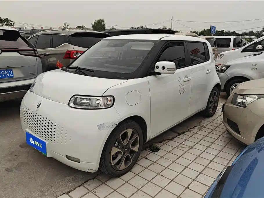 Ora Ora White Cat 2021