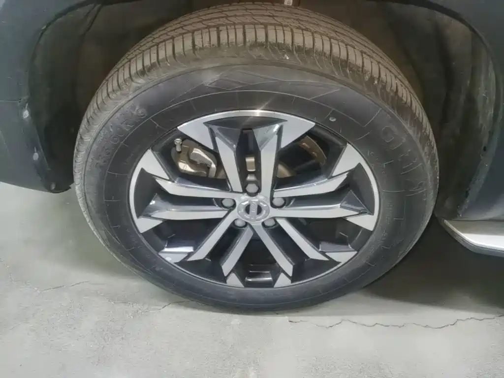 Haval Big Dog — миниатюра 23