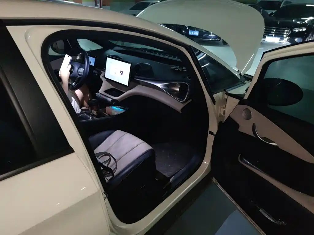 BYD Dolphin — миниатюра 18