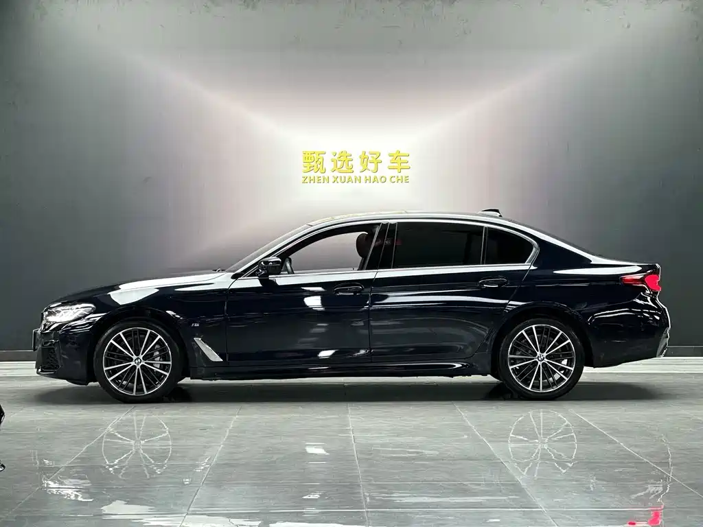 BMW 5 Series — миниатюра 4