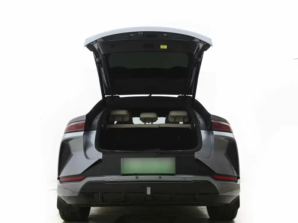 BYD L EV — миниатюра 12