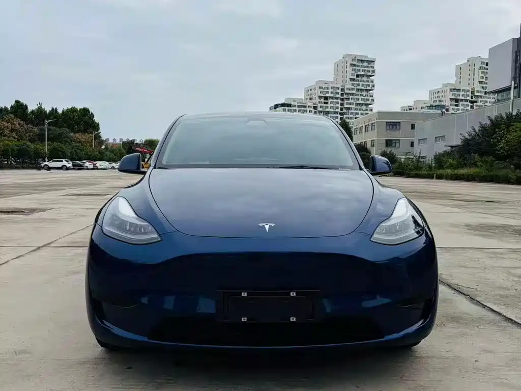 Tesla Model Y — миниатюра 2
