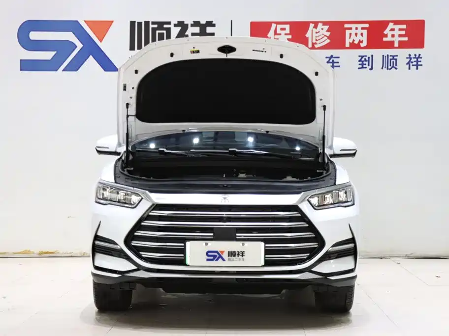 BYD Pro New Energy — миниатюра 18